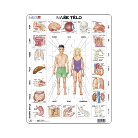 Naše telo - puzzle - OB1