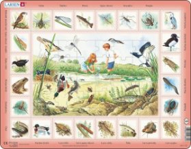 Puzzle MAXI - Život u rybníka/48 dílků