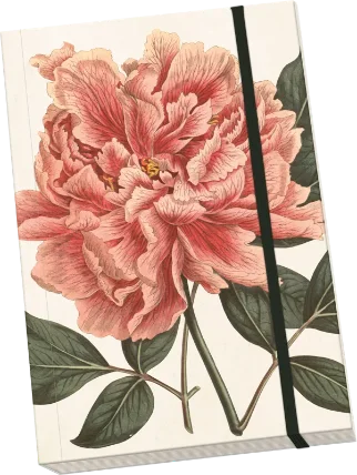 Notýsek Peony