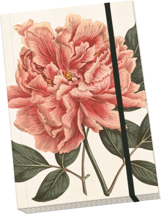 Notýsek Peony