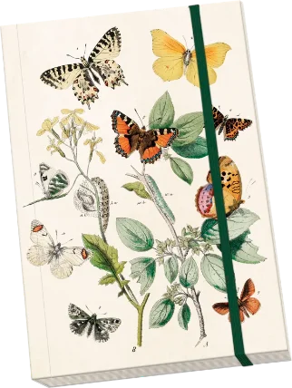 Notýsek Butterflies