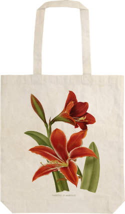 Látková taška Amaryllis