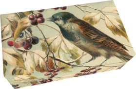 Dárkové mýdlo Winter Forest Bird 200 g