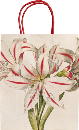 Dárková papírová taška Green & White Christmas Amaryllis