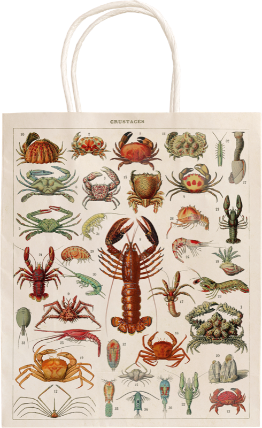 Dárková papírová taška Crustaceans