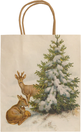 Dárková papírová taška Green & White Christmas Deer