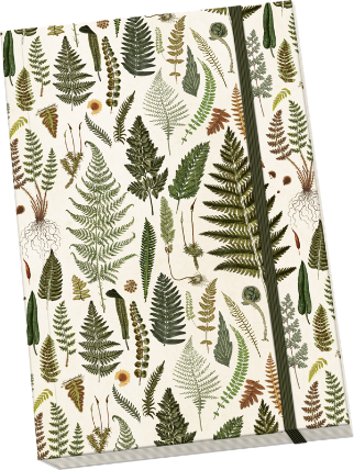 Notýsek Ferns