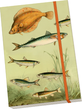 Notýsek Nordic Fishes
