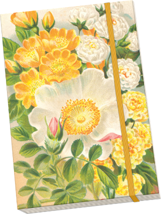 Notýsek Roses Yellow