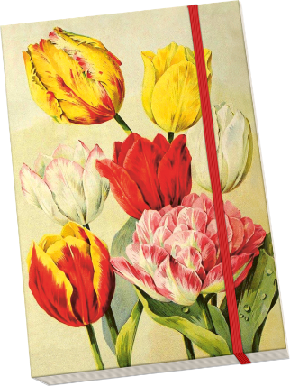 Notýsek Yellow Spring Flowers Tulips