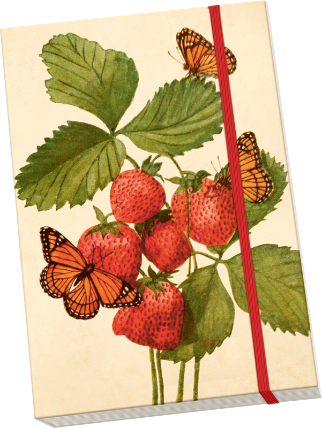 Notýsek Strawberry & Butterfly