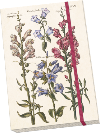 Notýsek Blue Flowers