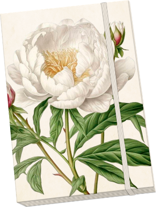 Notýsek Peonies & Roses
