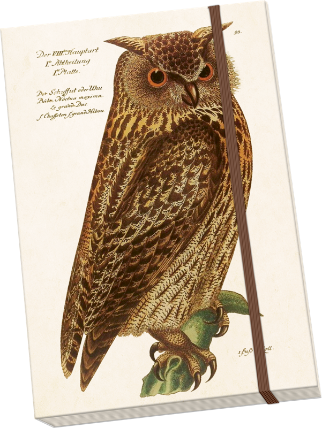Notýsek Forest Animals Owl