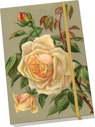 Notýsek Yellow Roses