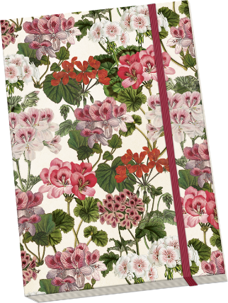 Notýsek Geranium