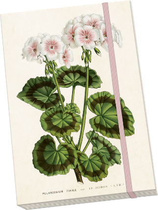 Notýsek Geranium - white