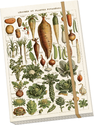 Notýsek Vegetables