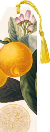 Knižní záložka Lemon