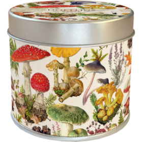 Vonná svíčka v plechové dóze Mushroom Forest