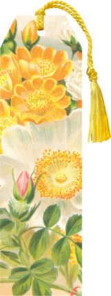 Knižní záložka Yellow Roses