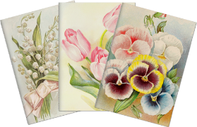 Sada tří notýsků Pastel Spring