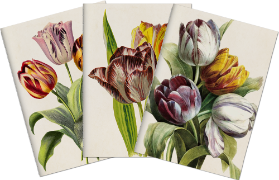 Sada tří notýsků Purple Tulips