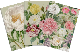 Sada tří notýsků - Peonies & Roses