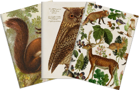 Sada tří notýsků Forest Animals