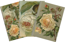 Sada tří notýsků Yellow roses
