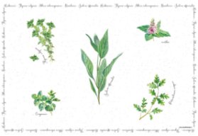 Plastové prostírání Herbarium