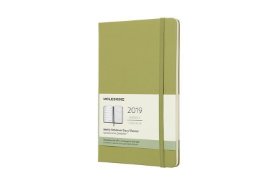 Moleskine: Plánovací zápisník 2019 tvrdý světle zelený L
