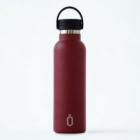 Termoláhev 600 ml Maroon