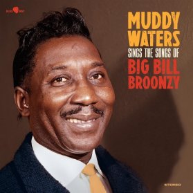 LP Muddy Waters - Sings The Songs Of Big Bill Bronzy