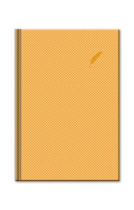 Notes Elegant/zlatý