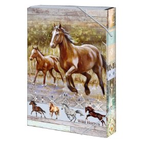 Box na sešity A4 Wild horses