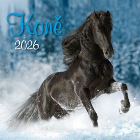 Kalendář 2026 Koně, nástěnný, 33 x 33 cm
