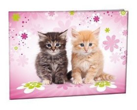Školní desky na číslice - Cats