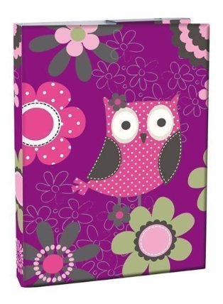 Box na sešity A4 - Owl/s klopou