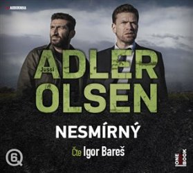 Nesmírný - 2 CDmp3 (Čte Igor Bareš)