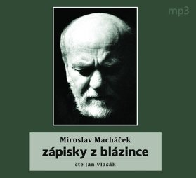 CD - Zápisky z blázince