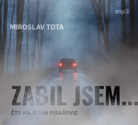 CD Zabil jsem... (Čte Kajetán Písařovic) - audiokniha