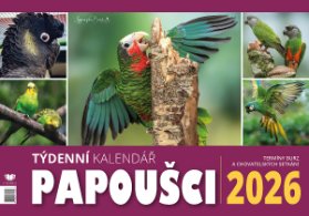 Kalendář 2026 Papoušci - stolní, týdenní