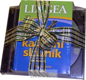 Anglický knižní kapesní slovník +CD
