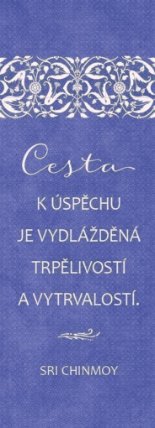 Plechová cedulka - Cesta k úspěchu je vydlážděná trpělivostí a vytrvalostí