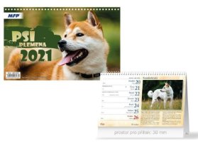 Kalendář 2021 stol: Psí plemena