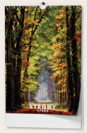 Kalendář 2020 Stromy