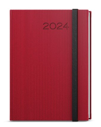 Denní diář 2024 David Vigo červená