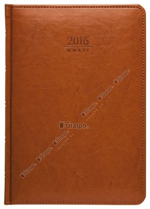 Diář 2016 - Kastor denní A5