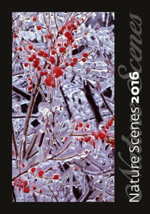 Kalendář nástěnný 2016 - Nature Scenes 
